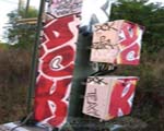 DCK