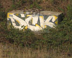 DCK
