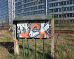 DCK