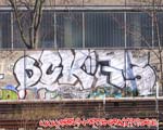 DCK