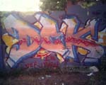 DCK