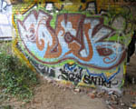 DCK