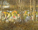 DCK