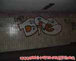 DFG (MITTE)