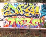 DFG