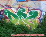 DFG