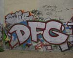 DFG