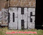 DHG