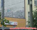 DHG (WEIENSEE)