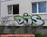 DJS