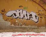 DMA