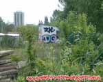DQ (FRIEDRICHSHAIN)