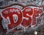 DSF