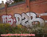 DZB