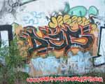 DZB (MITTE)