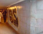 EDS (MiTTE)