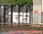 EIS 