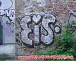 EiS
