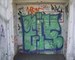 EiS