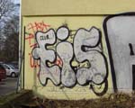 EiS