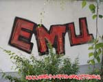 EMU