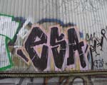 ESA