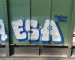ESA