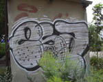 ESA