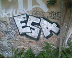 ESA