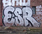 ESR