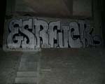 ESR