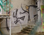 ESR
