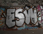 ESW