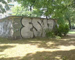 ESW