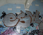 ESW