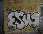 ESW