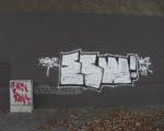ESW