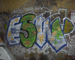 ESW
