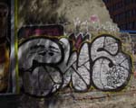 EWS