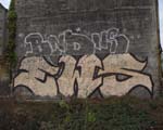 EWS