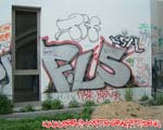FLS (MITTE)