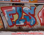 FLS