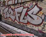 FLS