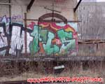FLS