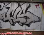 FLS