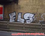 FLS