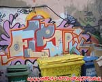 FLS