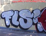 FLS