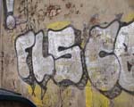 FLS