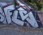 FLS